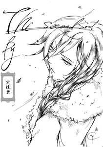 (HP同人)第二陨魄