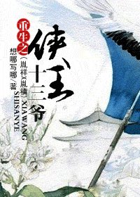 重生之侠王十三爷