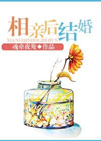史上最纯粹爱情-相亲后结婚