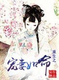 重生之宠妻如命(作者:安俗)