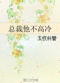 总裁他不高冷