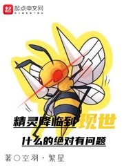(宝可梦同人)精灵降临到现世什么的绝对有问题