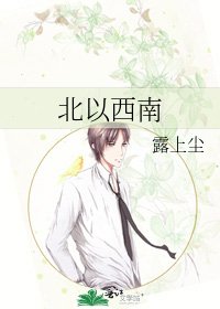 《北以西南》
