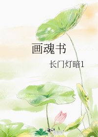 画魂书