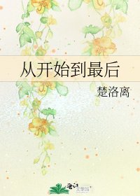 《從開始到最後》