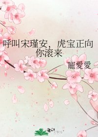 《呼叫宋瑾安,虎寶正向你滾來》