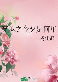穿越之今夕是何年