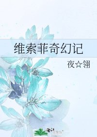 维索菲奇幻记