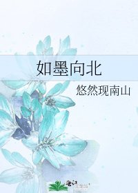 《如墨向北》