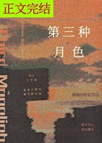第三种月色