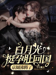 《白月光挺孕肚回國,京圈沸騰了/難抵他撩》