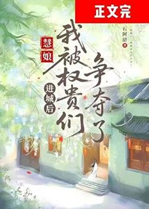 进城后,我被权贵们争夺了
