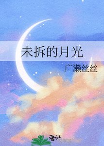 《未拆的月光》