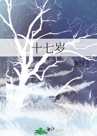 十七岁