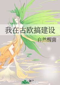 《我在古歐搞建設》