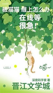 《被貓貓纏上怎麼辦!線上等很急!》