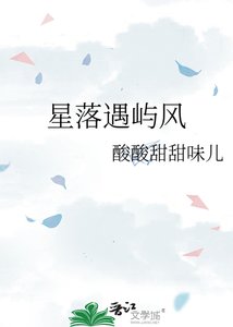 《星落遇嶼風》